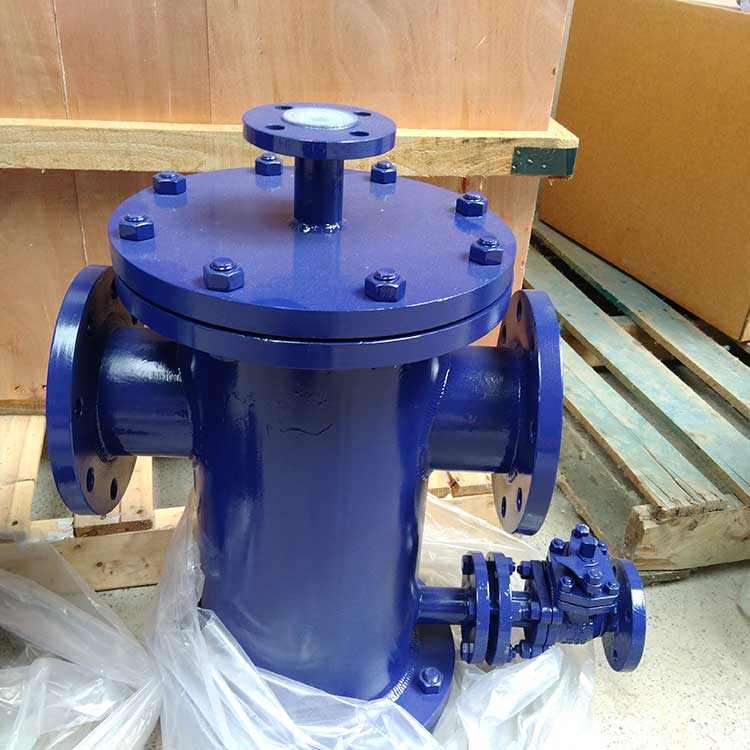 籃式過濾器-帶F46襯套-(5)