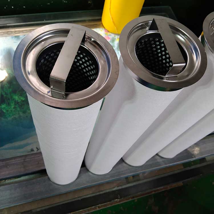 BE096520F020BQ(LCS2B1AH)聚結(jié)濾芯-(6)